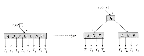 Split a Node